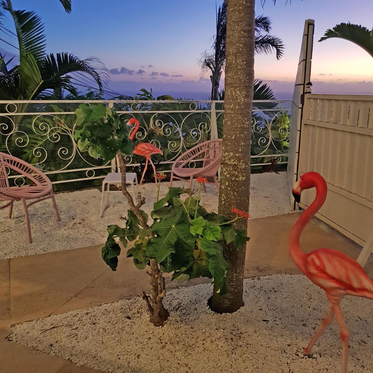 La Boheme, Residence De 5 Appartements Avec Piscine, Vue Ocean, Petite Ile Petite Île Exterior foto